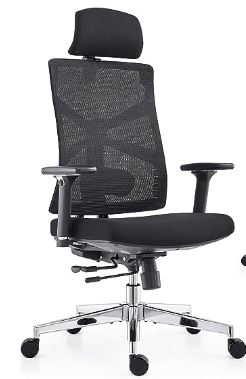 ergonomic office chair for posture support