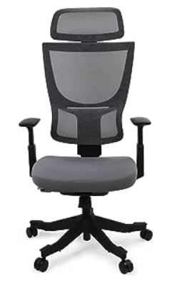 flexispot home office chair for lower back pain