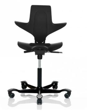 hag capisco puls office chair for back problem