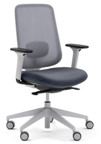 Slouch Task Best For One Overall Value computer office chair for back pain U
