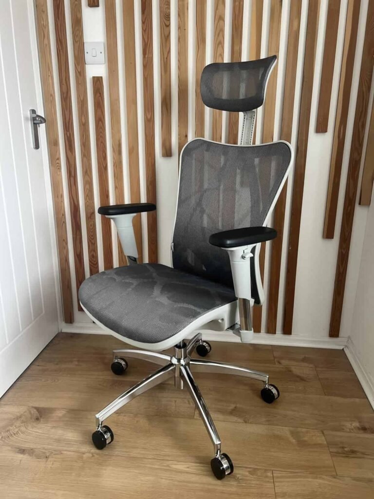 view of our own purchase sihoo m57 office chair for long hours uk testing unboxing package arrival several weeks to months