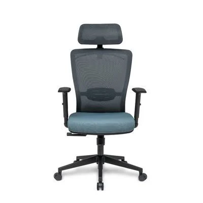 flexispot flexi chair ergonomic office chair under 300 uk